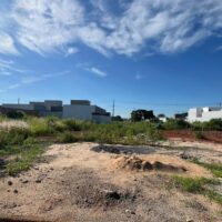 LOTE CAMPOS ELISEOS